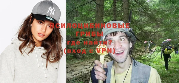 индика Алзамай