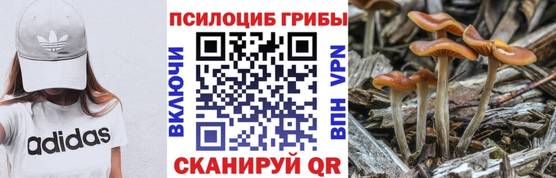 Галлюциногенные грибы прущие грибы  Ступино 